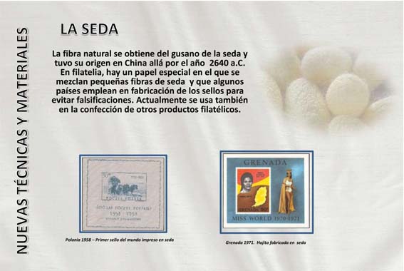 7 seda