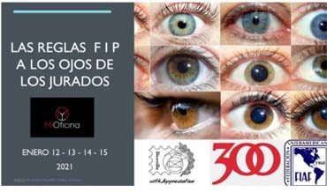 Las reglas FIP a los ojos de los jurados