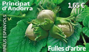 Fulles D´arbre. Avellaner. Principat d´ Andorra