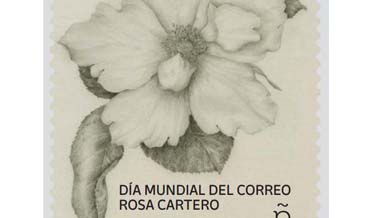 Stand Rosa Cartero en Cibeles
