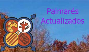 Modificaciones del Palmarés en la web