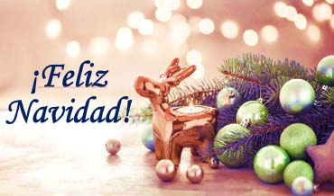 ¡Que la magia de la Navidad llene tu hogar!