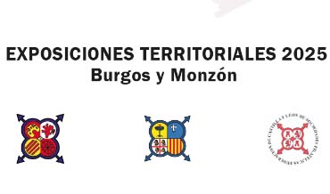 Exposiciones Territoriales del año 2025