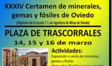 Certamen de Minerales, Gemas y Fósiles Oviedo