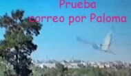 Exfilna Prueba de «El Correo por Paloma»